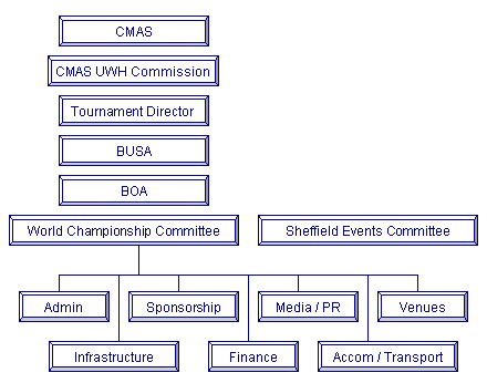 Estructura de organización de campeonato