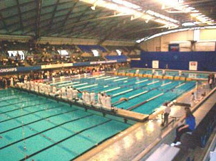 La piscine olympique